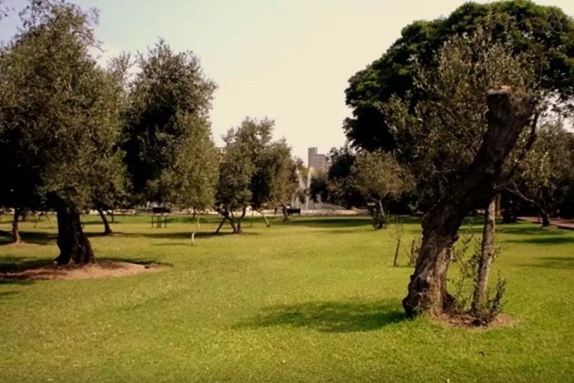 B&B El Olivar Лима Экстерьер фото
